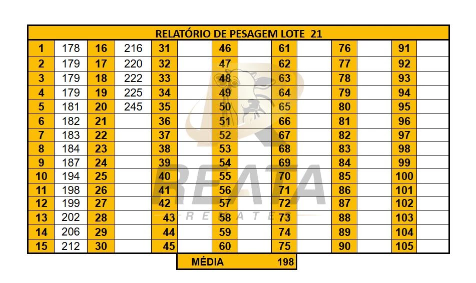 LOTE 21