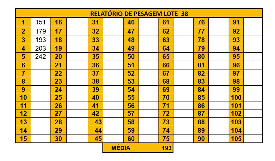 LOTE 38
