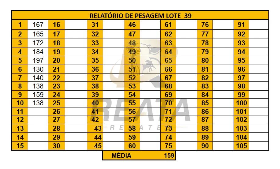LOTE 39