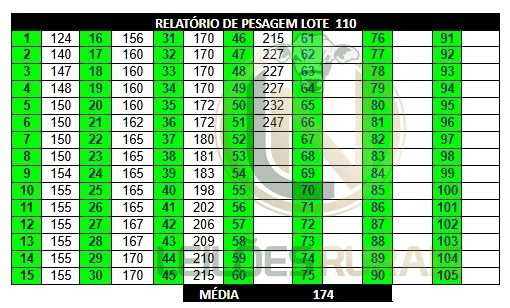 LOTE 110