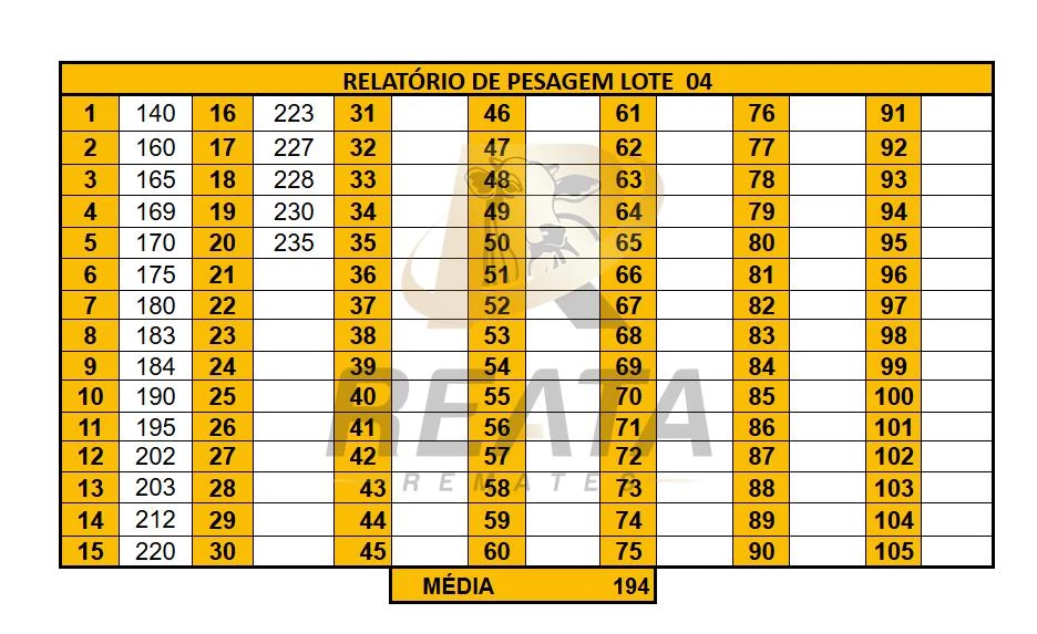 LOTE 04 A