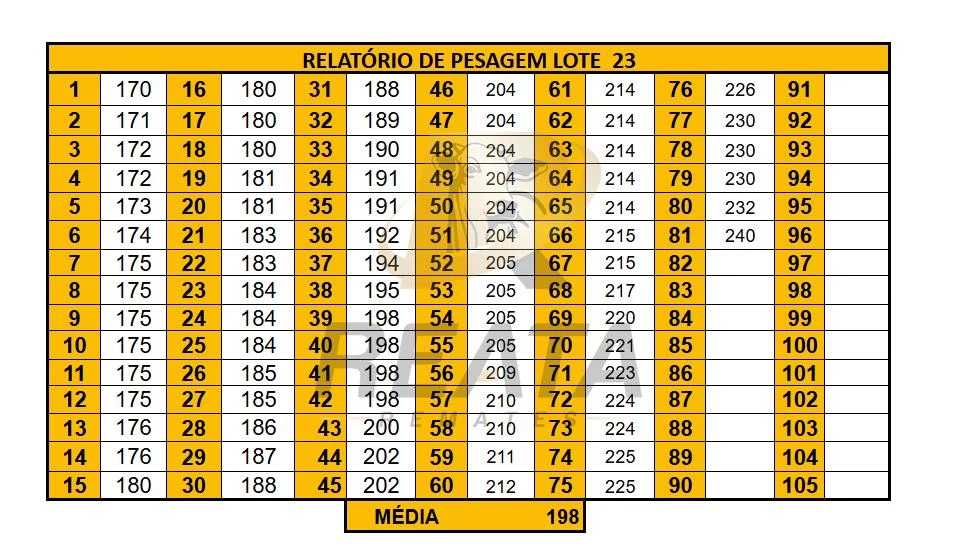 LOTE 23