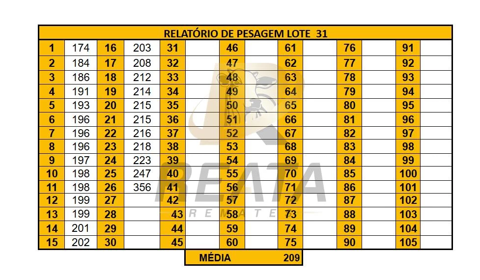 LOTE 31