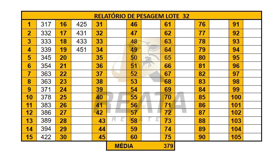 LOTE 32