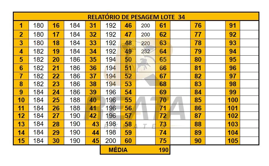 LOTE 34