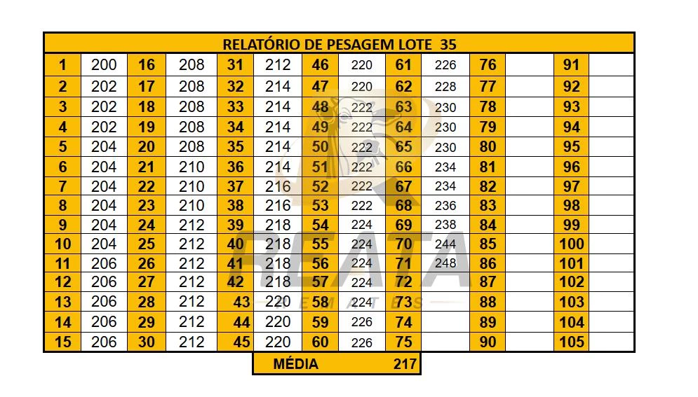 LOTE 35