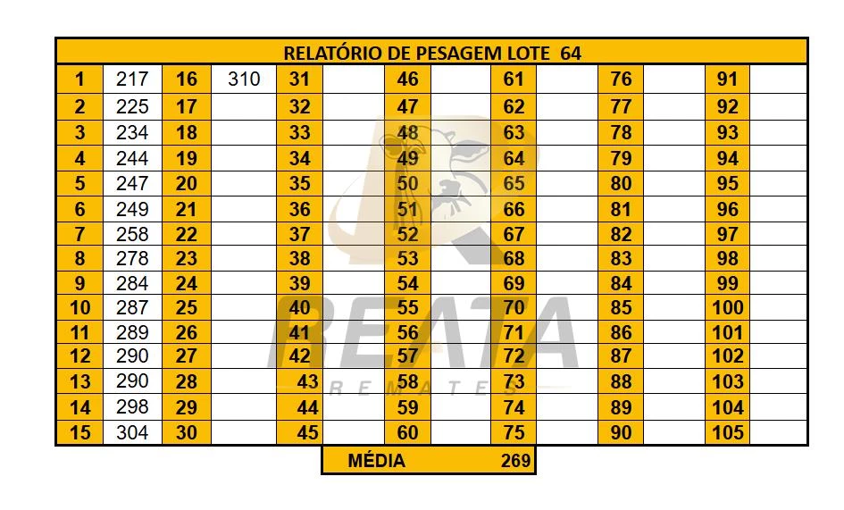 LOTE 64