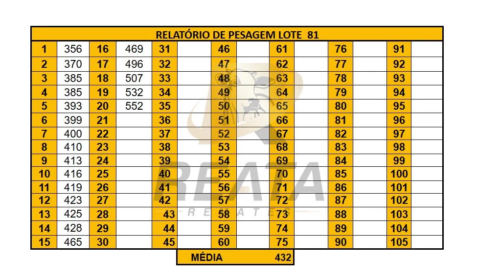 LOTE 81