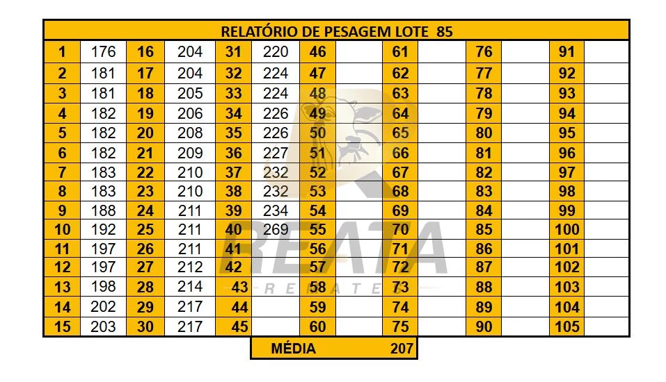 LOTE 85