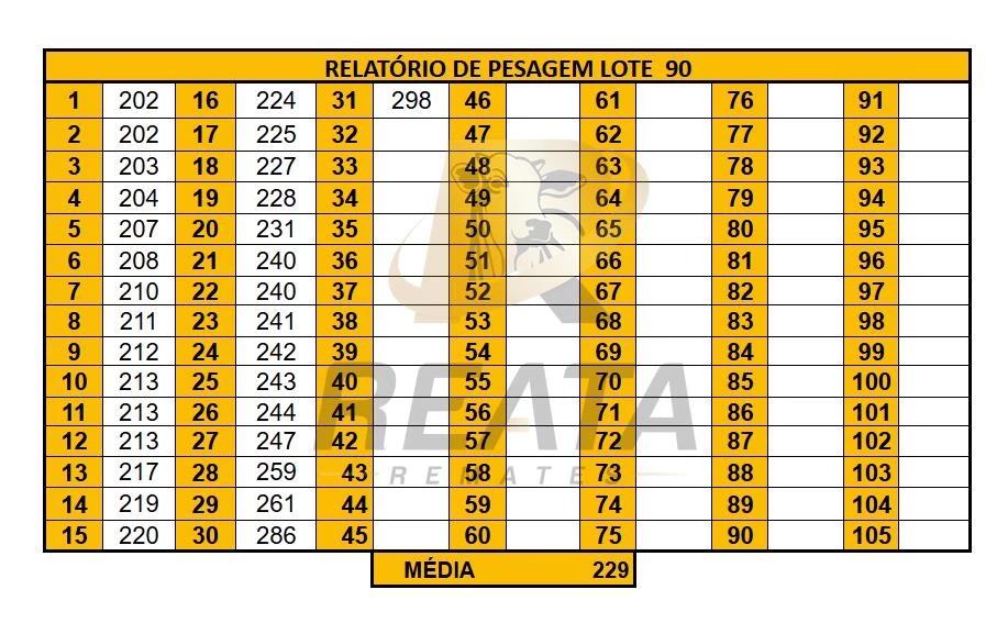 LOTE 90