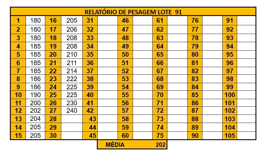LOTE 91