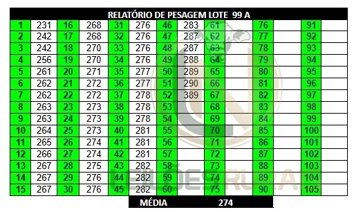 LOTE 99A
