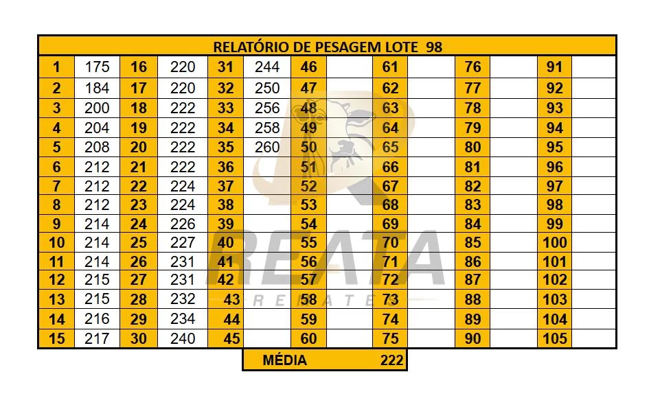 LOTE 98