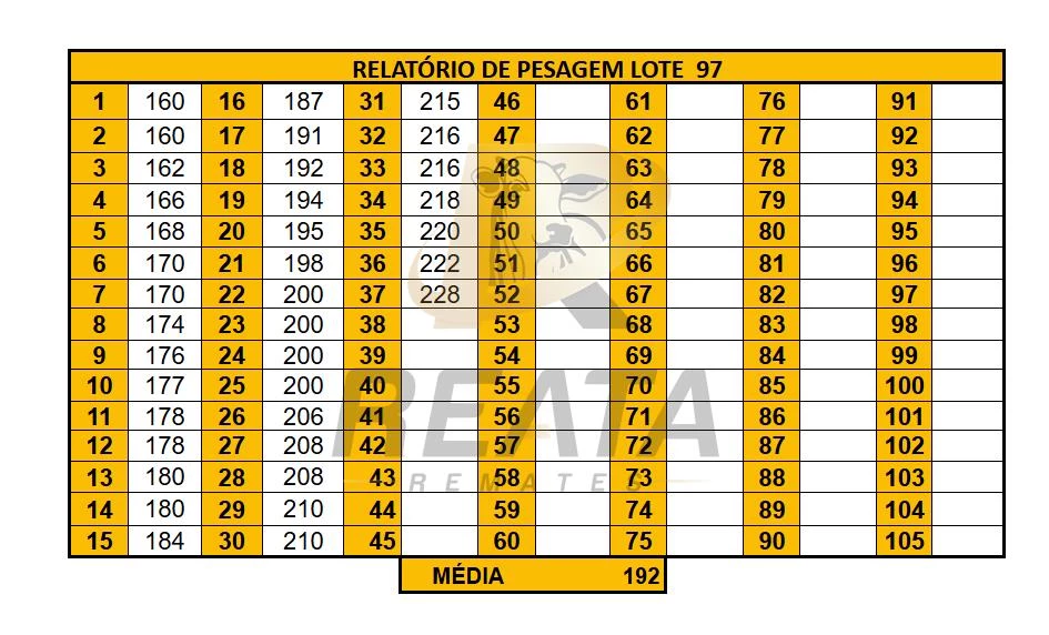 LOTE 97