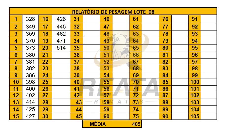 LOTE 08