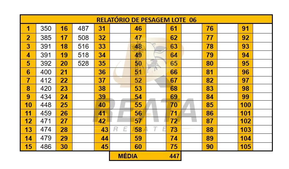 LOTE 06