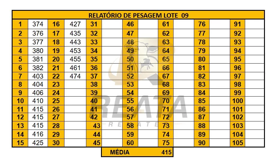 LOTE 09