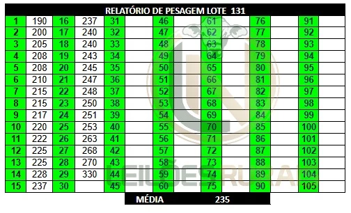 LOTE 131