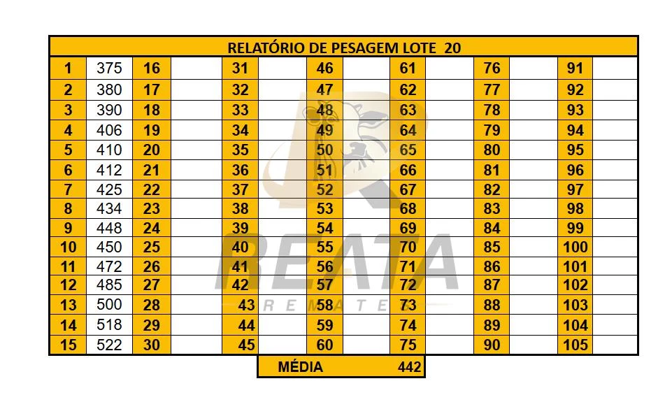 LOTE 20