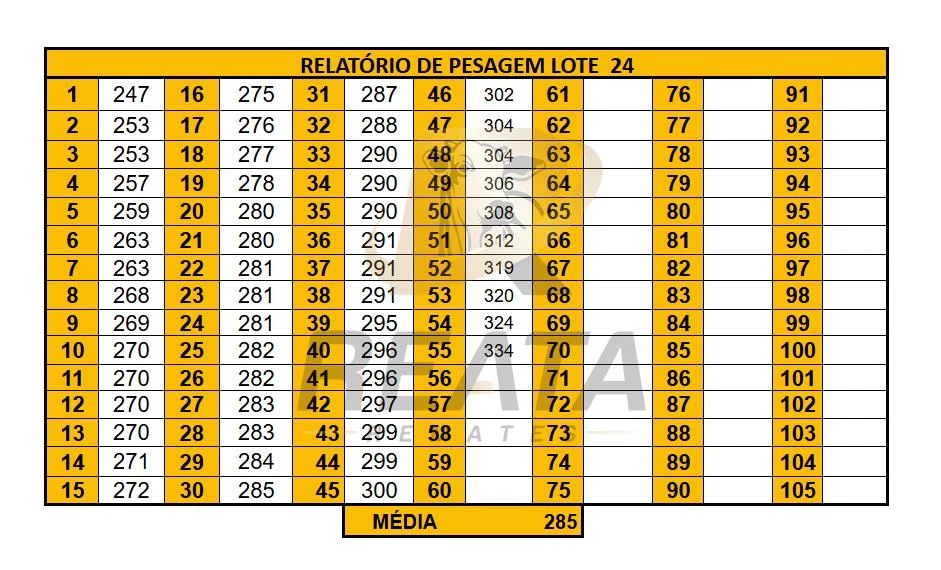 LOTE 24