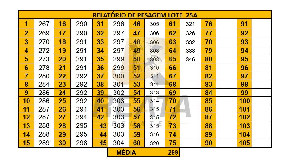 LOTE 25 A