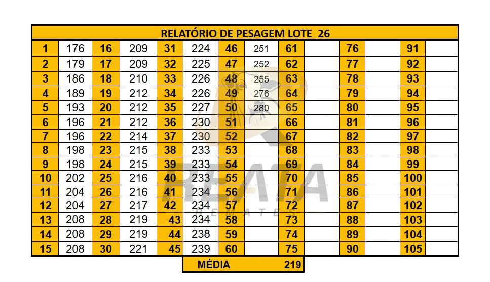 LOTE 26