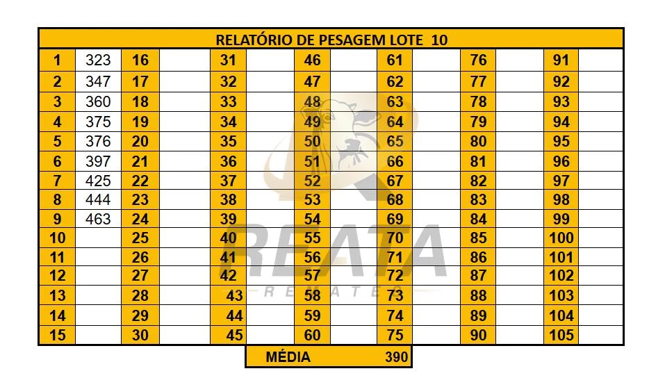 LOTE 10