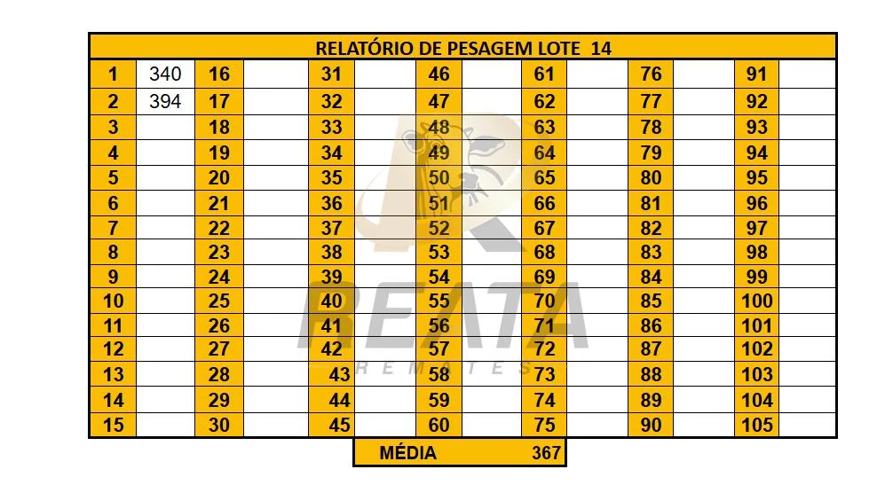 LOTE 14