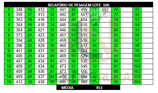 LOTE 160