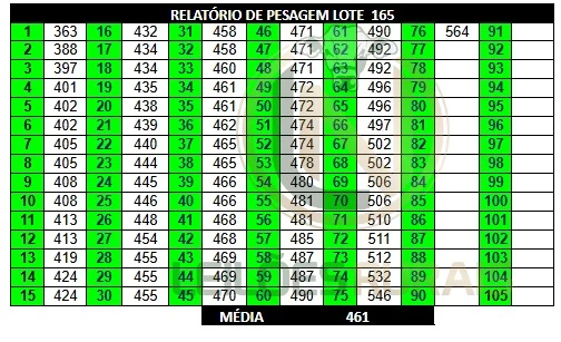 LOTE 165