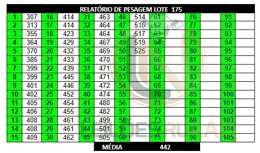 LOTE 175