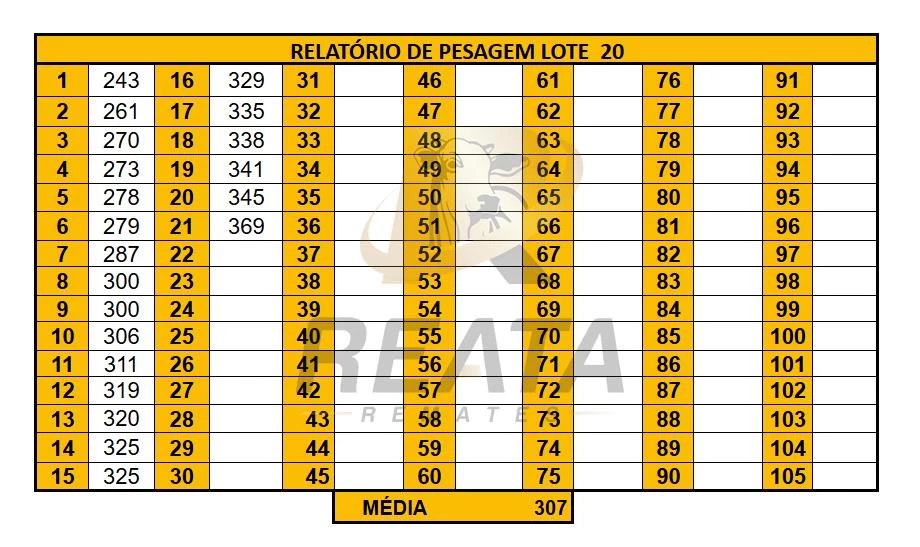LOTE 20