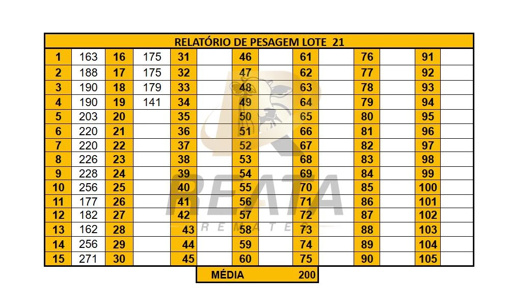 LOTE 21