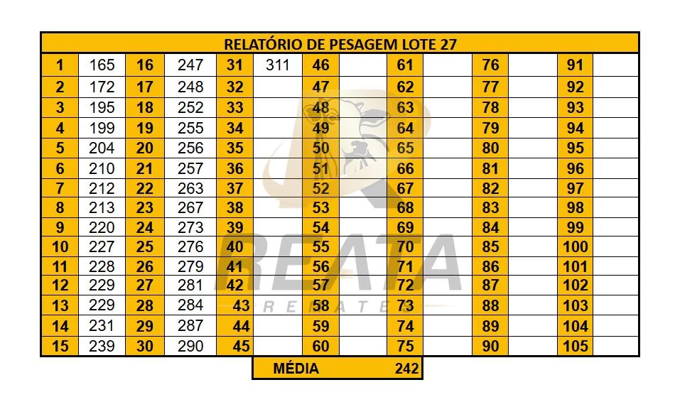 LOTE 27