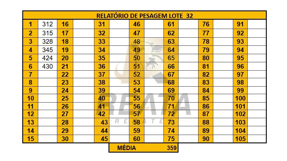 LOTE 32
