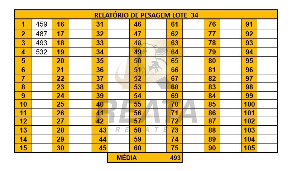 LOTE 34
