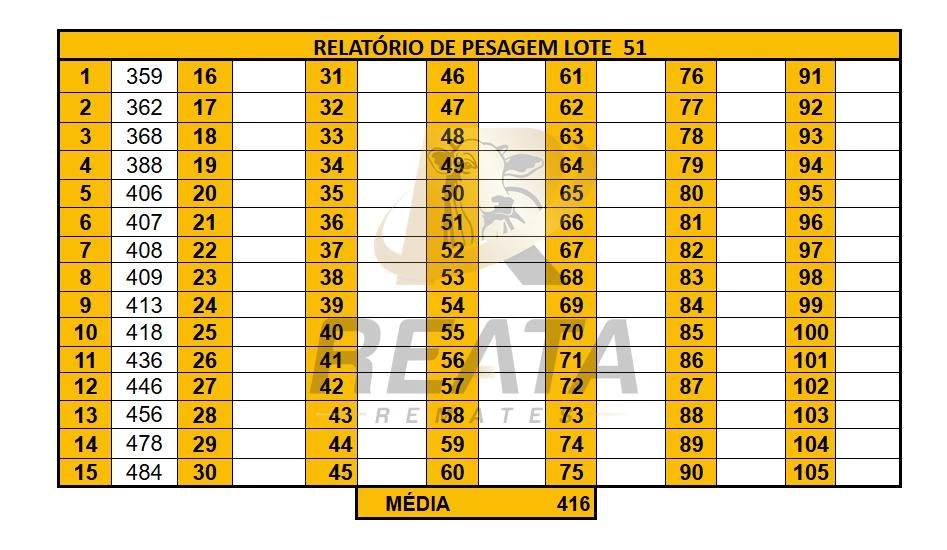 LOTE 51