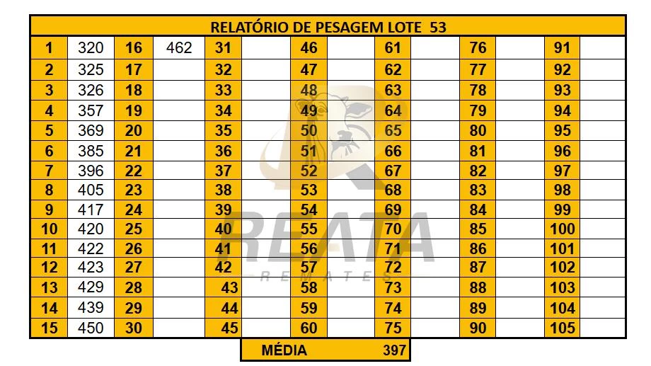 LOTE 53