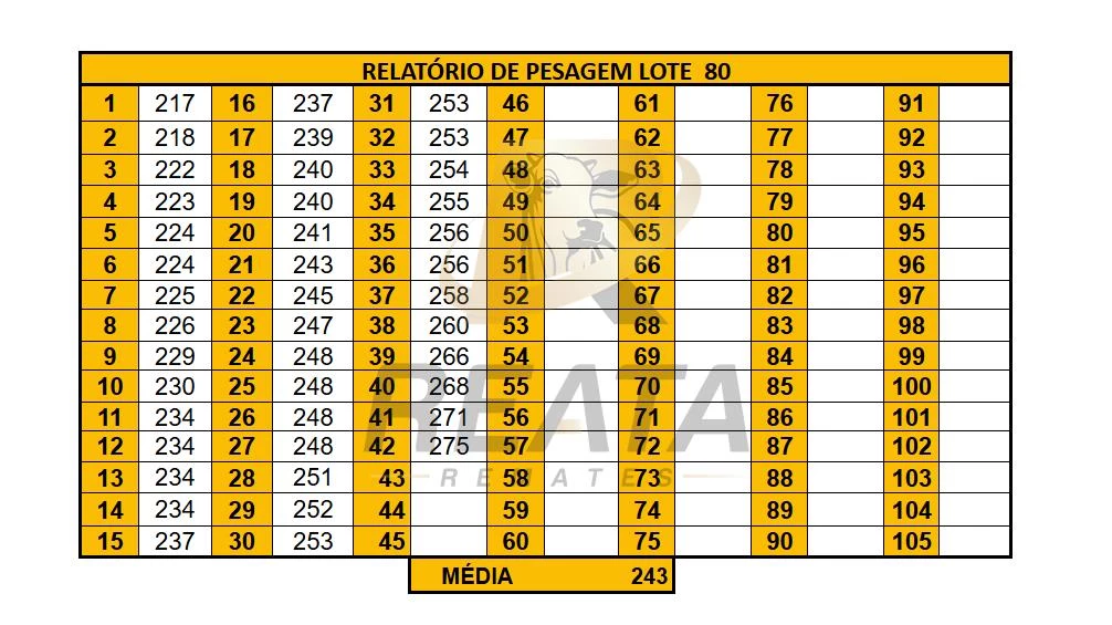 LOTE 80