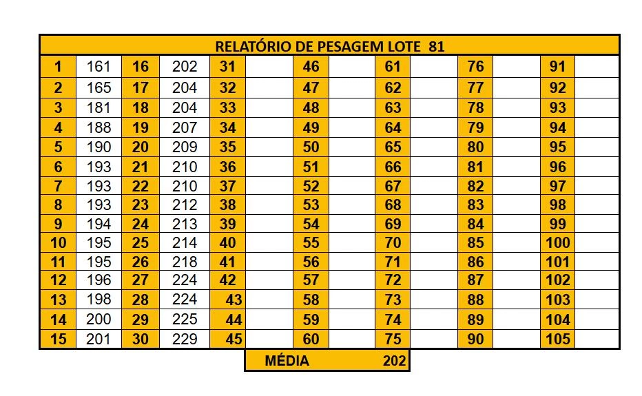 LOTE 81