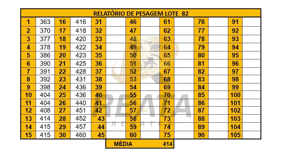 LOTE 82