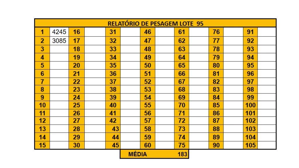 LOTE 95