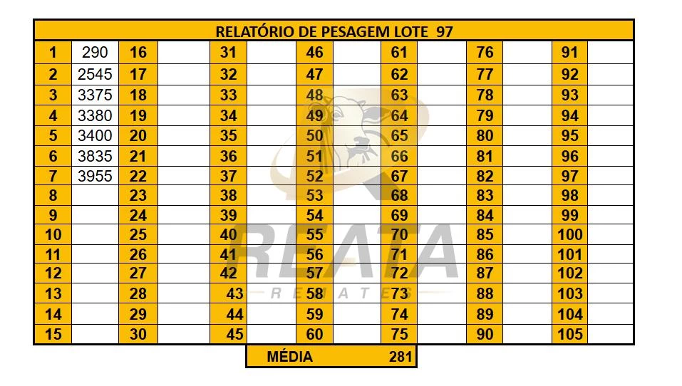 LOTE 97