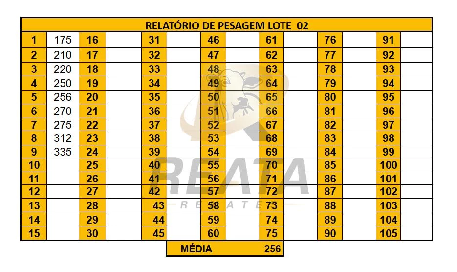 LOTE 02