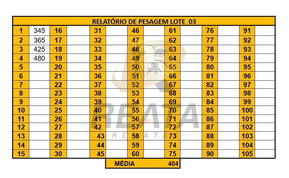 LOTE 03