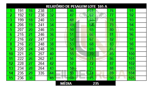 LOTE 165 A