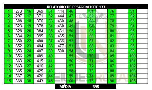 LOTE 133