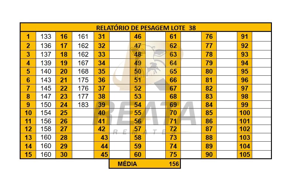LOTE 38