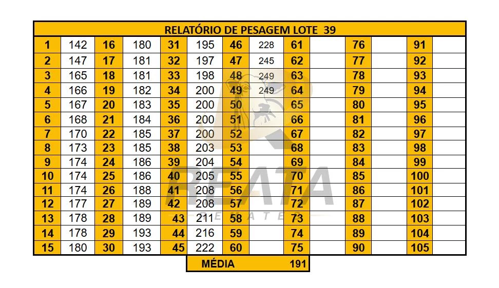 LOTE 39